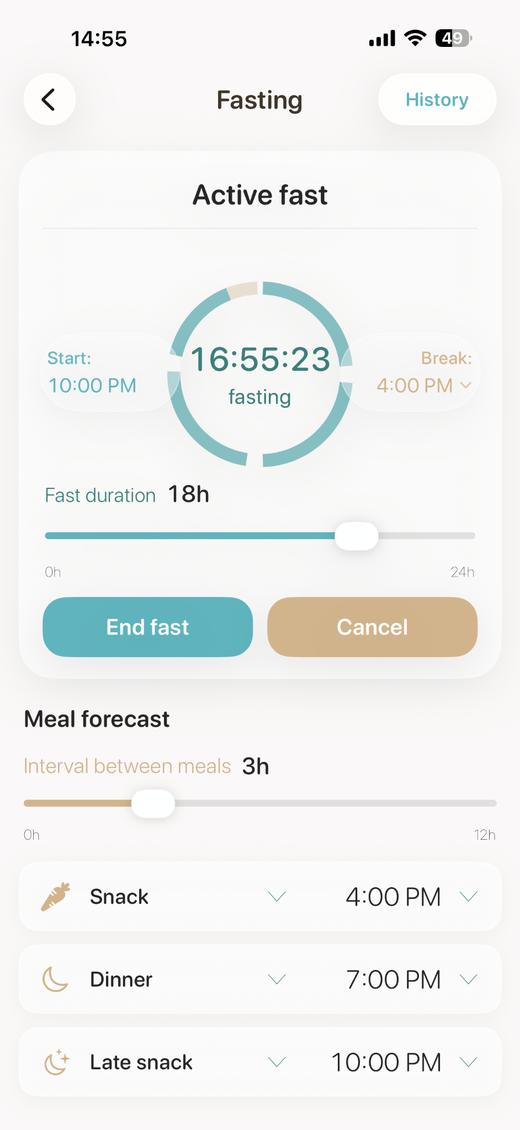 Fasting Planner active fast screen